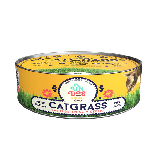 1_32e4ea2c-ba92-4414-9db3-804ab86ffde0_540x540 Cat Grass Mix Avena y Cebada, Pasto para Gato