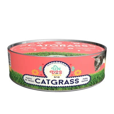 1_f193cc89-7885-42ea-acce-3ff390dd1141_1800x1800 Catgrass de Trigo, Pasto para Gato