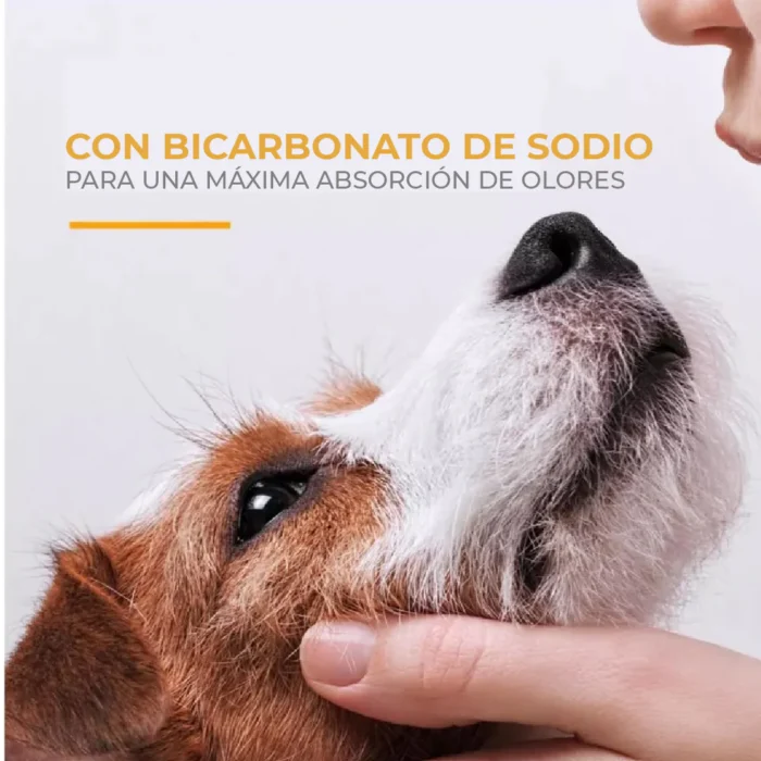 2_1_cae4a3ba-f4af-4a7c-b228-56ffa8e68f0d_1800x1800 Arm & Hammer Shampoo para Perro Control Caída de Pelo, aroma Guayaba.
