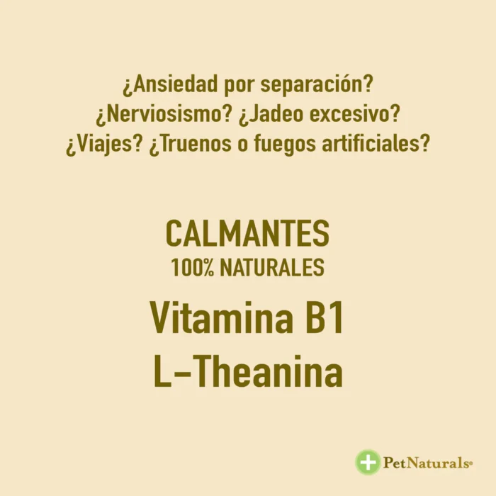 Calmantes para Perros Chicos