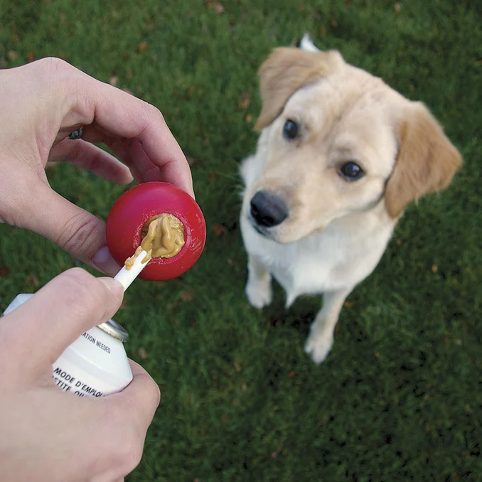 35501320_678x678 Kong Stuff'n - Camote