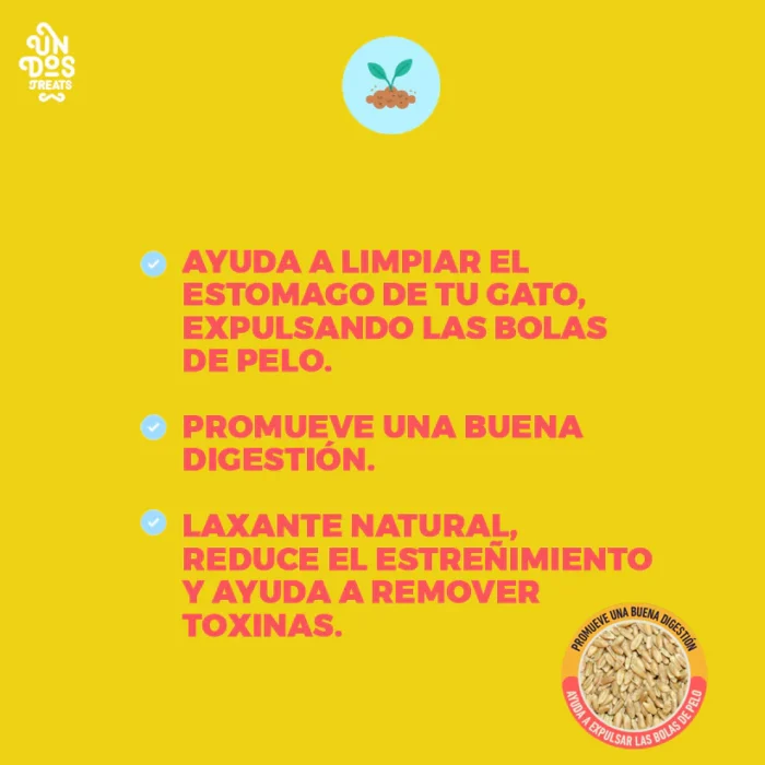 3_5_1800x1800 Catgrass seeds semillas de avena y cebada para gatos