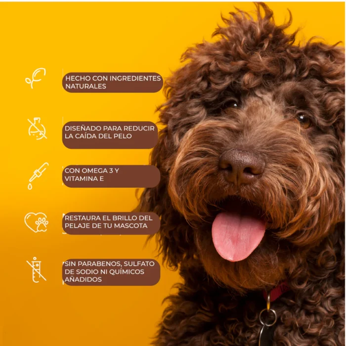 4_1_be62d21a-36a5-44f2-a801-6d97d7d78969_1043x1043 Arm & Hammer Shampoo para Perro Control Caída de Pelo, aroma Guayaba.