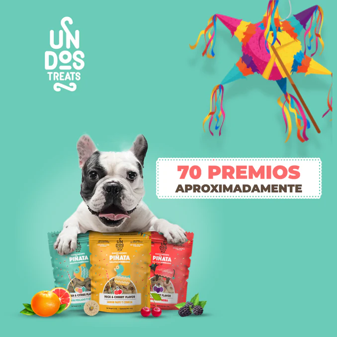 4_35a40d19-1e88-42a5-aa2a-446980ec110f_678x678 Un Dos Treats Baked Biscuits Piñata Galletas Horneadas-Pato y Cereza 5.5 oz