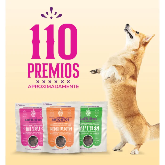 Guilt Free Antojitos Saludables - Tinga