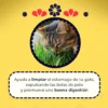 5_b804ee22-80f5-4fb3-be69-a032361e1f5f_540x540 Cat Grass Mix Avena y Cebada, Pasto para Gato