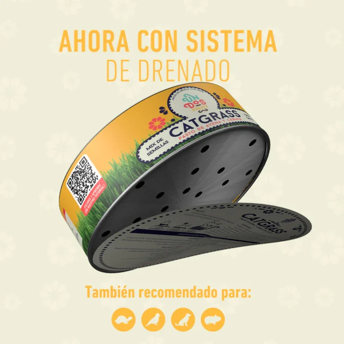 6_9ea97577-7826-45db-a5fd-2859b2dd77f8_1043x1043 Cat Grass Mix Avena y Cebada, Pasto para Gato