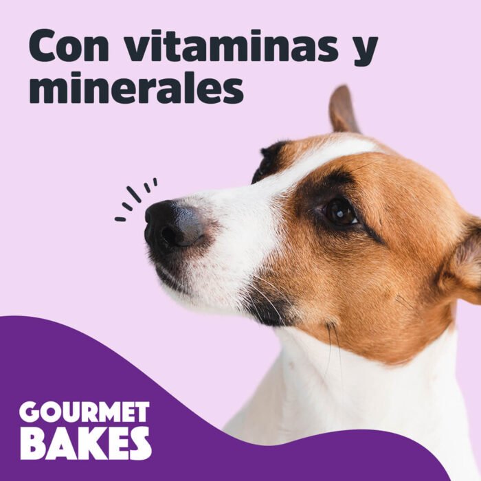 GB-info-2_9cfe719a-dd3f-4a66-b438-db3cb7398499_1800x1800 (1) Gourmet Bakes de Trick & Treats: Dulce de Leche