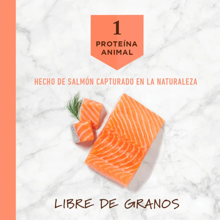 LidSalmoninfo1_1000x1000 Instinct LID Salmón - Para Perros