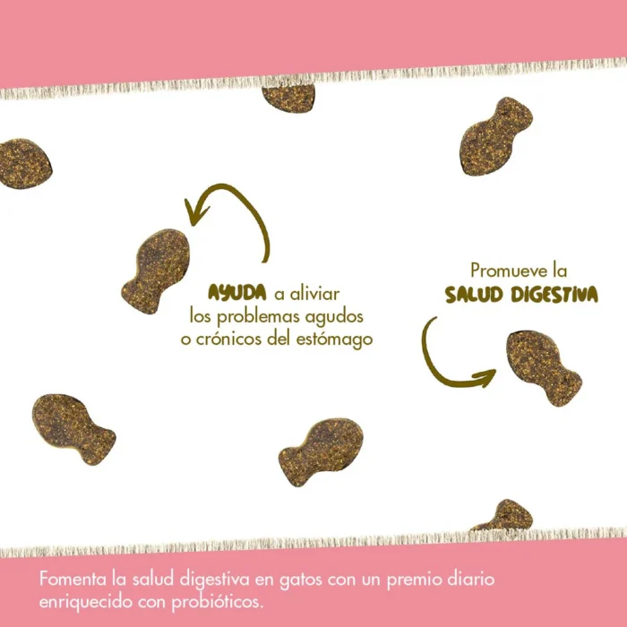 Daily Probiotic Para Gatos