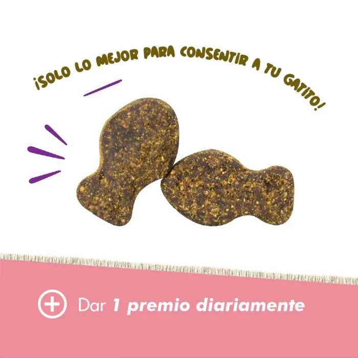 Daily Probiotic Para Gatos