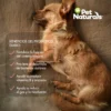 PetNaturalsMesadetrabajo1copia15-50_1043x1043 Daily Probiotic Para Perros