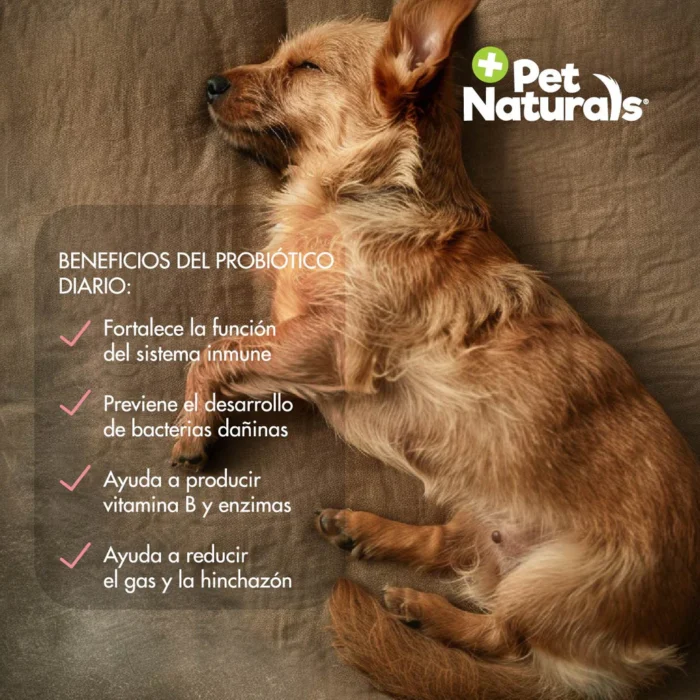 PetNaturalsMesadetrabajo1copia15-50_1043x1043 Daily Probiotic Para Perros