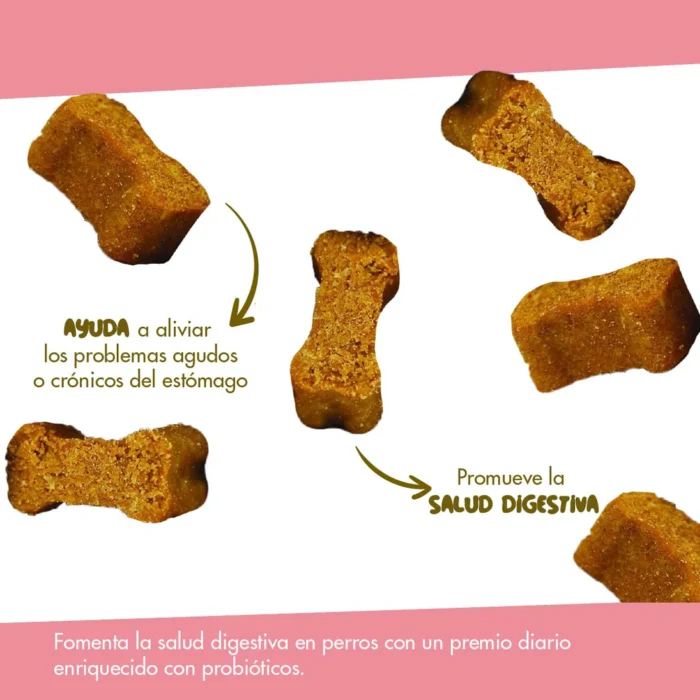 PetNaturalsMesadetrabajo1copia16-50_1043x1043 Daily Probiotic Para Perros