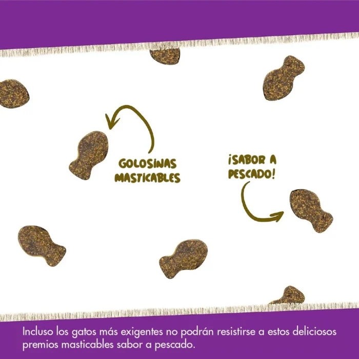 Daily Multi Vitaminas Para Gatos