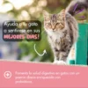 Daily Probiotic Para Gatos