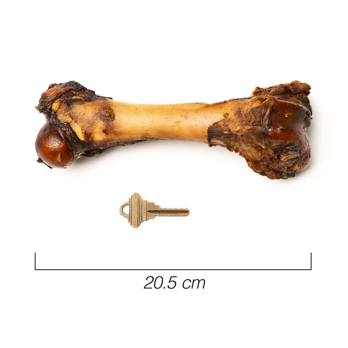 PetStar_1med_1000x1000_web_1800x1800_e8922259-fae4-40dc-b384-608d0caba0d7_678x678 Porky Pop Petstar de Cerdo para Perros - 2 Piezas