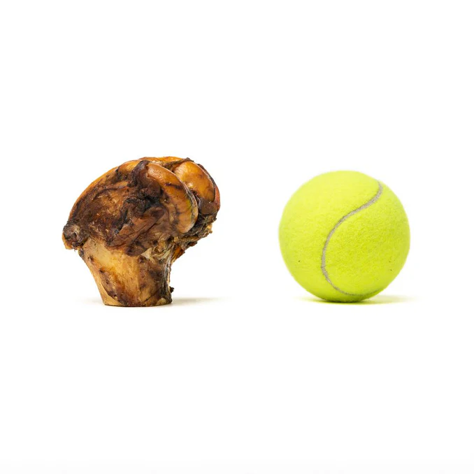 PetStar_4b_1000x1000_web_1800x1800_771d11e0-0177-4b63-86ae-7b7694e9a7f1_678x678 Mini Jawbreaker Petstar para Perros (3 piezas)