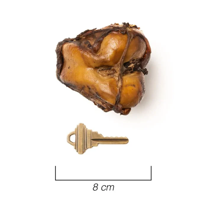 PetStar_4med_1000x1000_web_1800x1800_f4aafb50-e00d-4962-96c7-10d7286529af_1800x1800 Mini Jawbreaker Petstar para Perros (3 piezas)