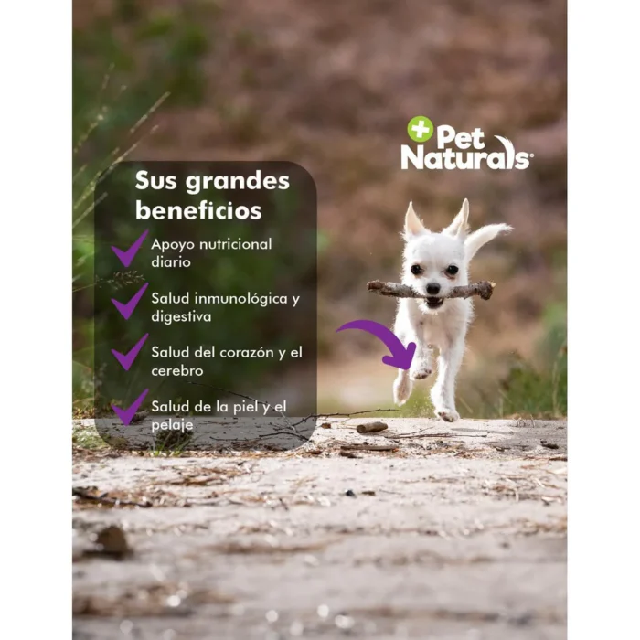 Daily Multi Vitaminas Para Perros