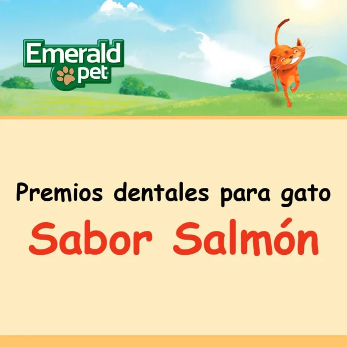Dental Treats Salmon - Premios dentales
