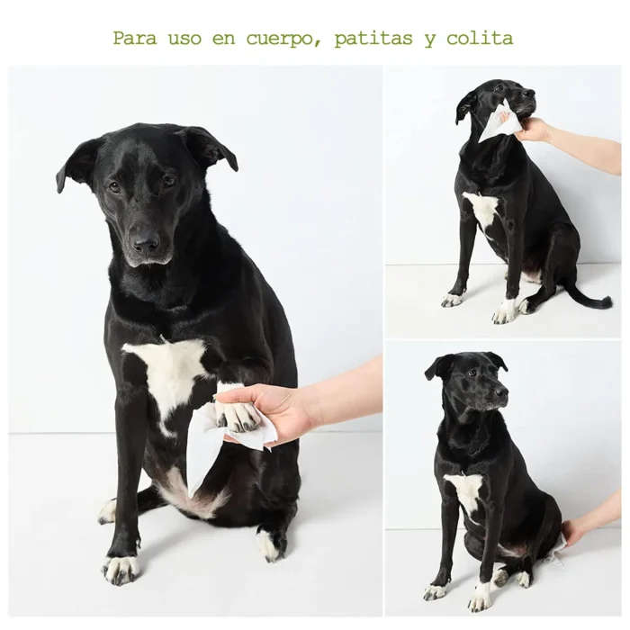 Toallitas Humedas, Hipoalergenicas y Libres de Parabenos, Aroma Lavanda con 100 pzs